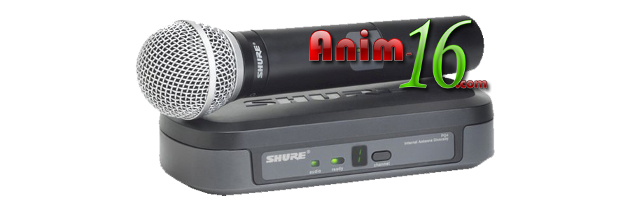 Shure PG24/PG58