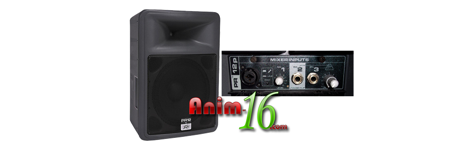 Peavey - PR 12P