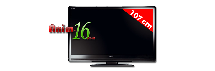 Toshiba - Regza 107 cm / 42"